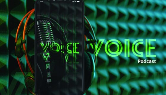 ux-case-voice-bp-01
