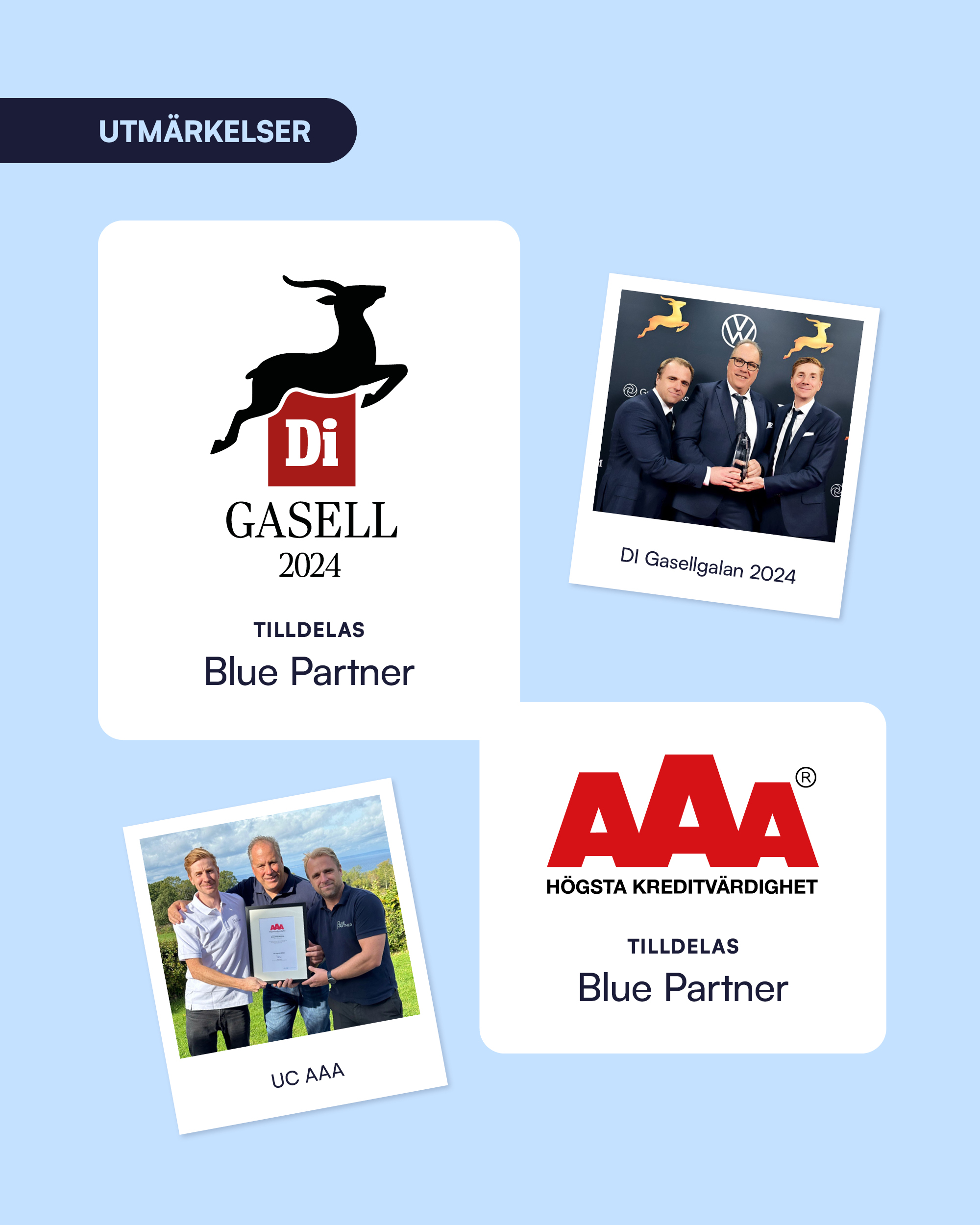 Blue Partner har blivit utsett till Gasell-företag.