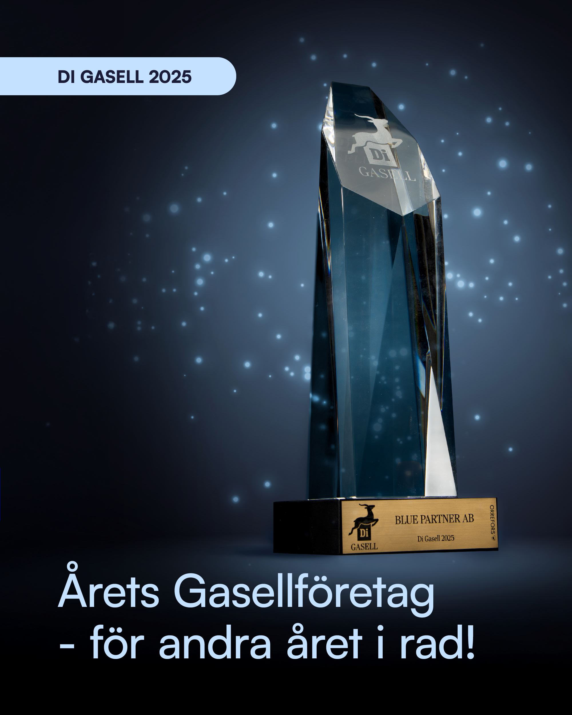 bluepartner_2026_some_summering2025_linkedin_4x5_v1_04