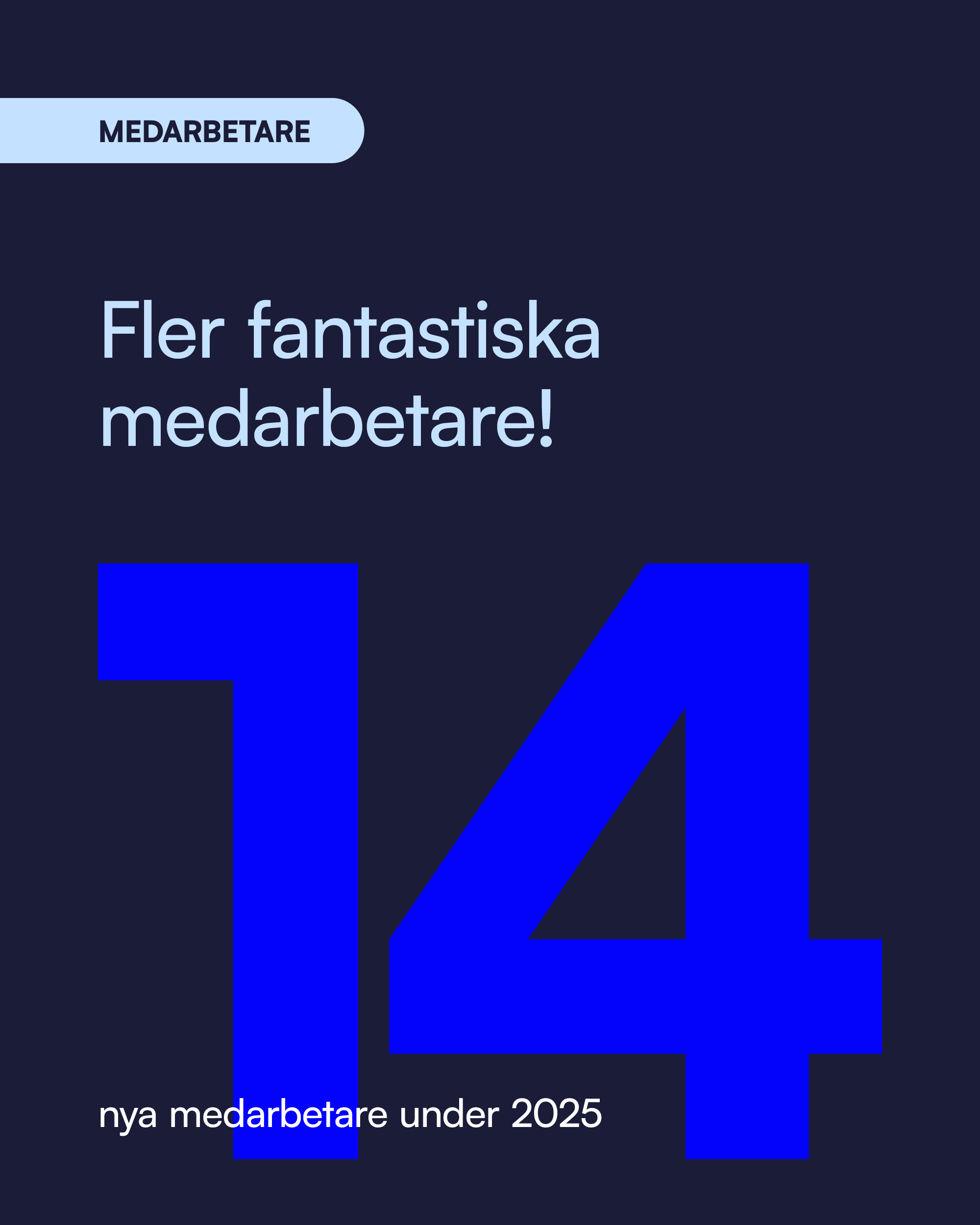 bluepartner_2026_some_summering2025_linkedin_4x5_v1_05